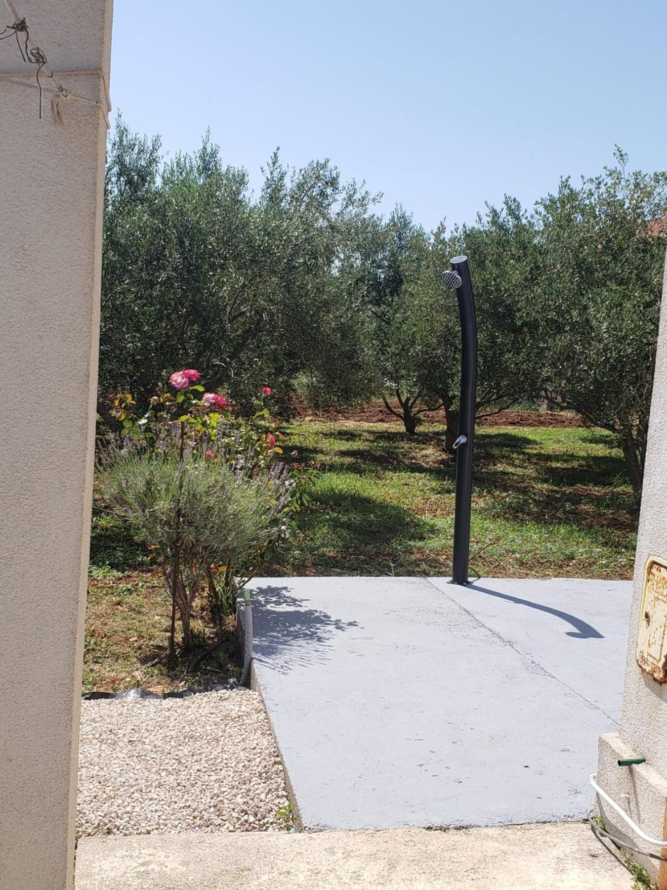Apartmani Ciklic Dobropoljana Esterno foto